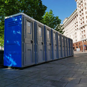 Важнейшим  пунктом является определение необходимо количества биотуалетов. Если  уборных будет недостаточно, это вызовет проблемы. Требуется заранее  определить среднее число гостей на каждый день, чтобы мы правильно  оценили количество единиц, поставляемых к вам для обслуживания всех  посетителей. Мы поставляем: