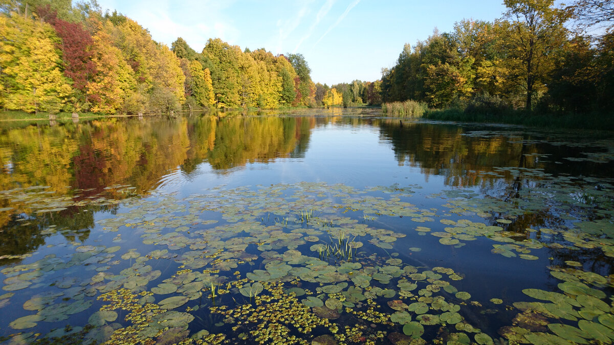 Рыбалка.