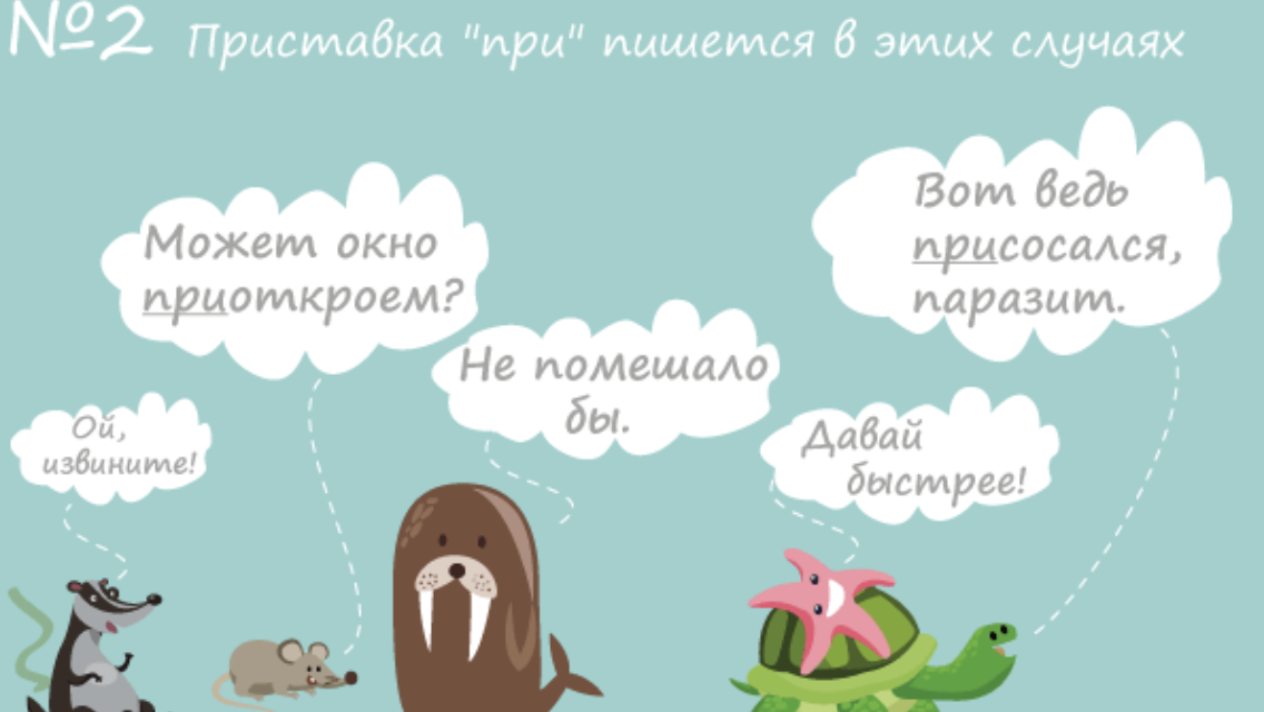 Картинка из интернета