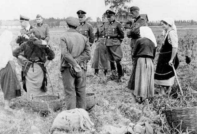 Крестьяне, работающие на немцев во время оккупации.