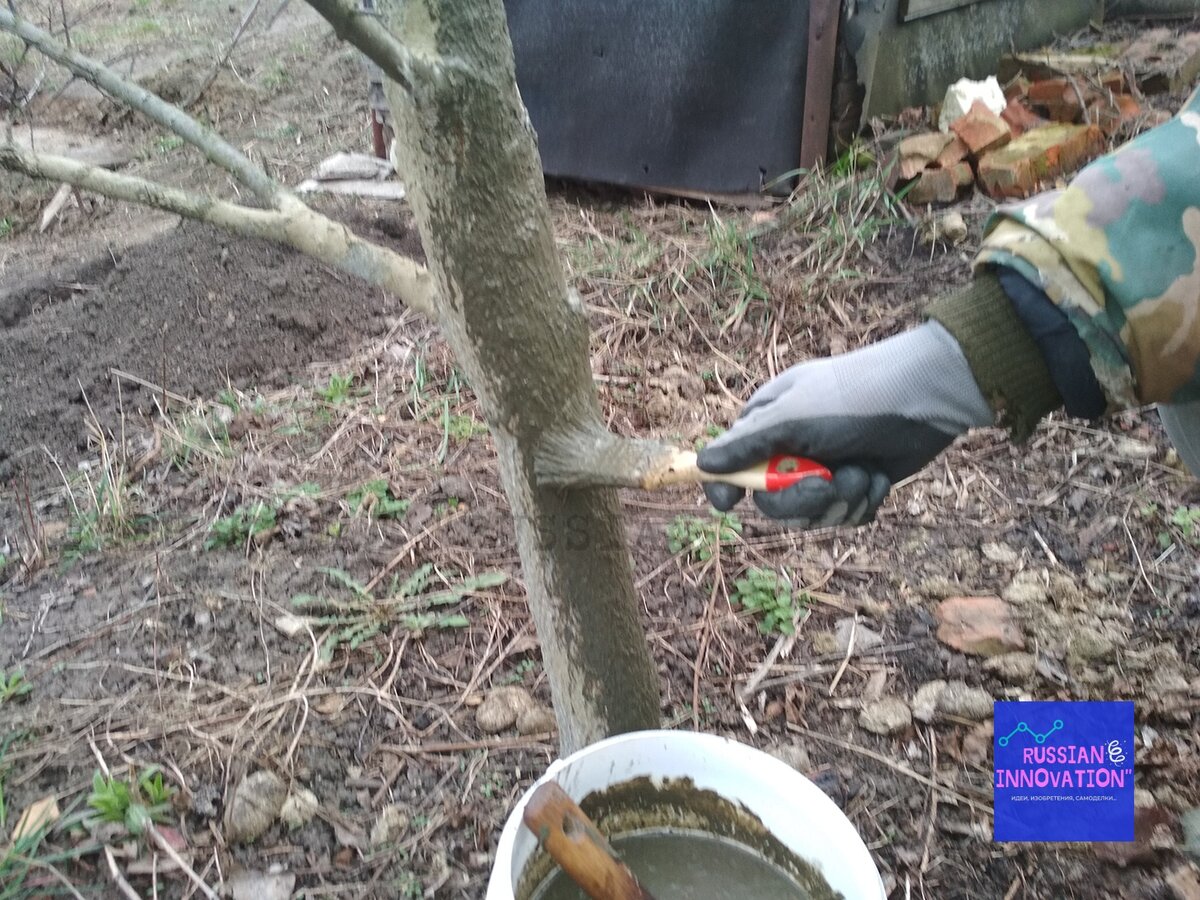 © Дзен-канал "Russian innovation"