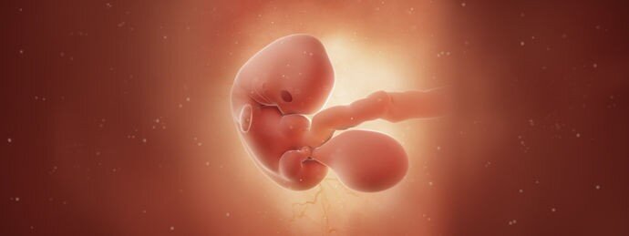 1. Все мы внутри девочки! 