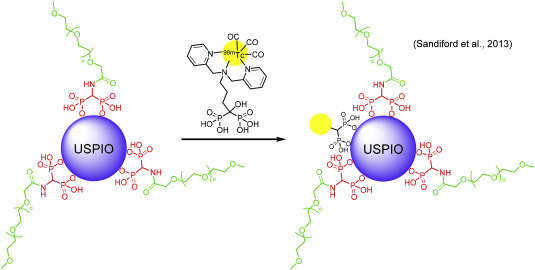  8. Соединение радионуклида 99m Tc с USPIO привело к образованию бимодального агента MRI-SPEC.