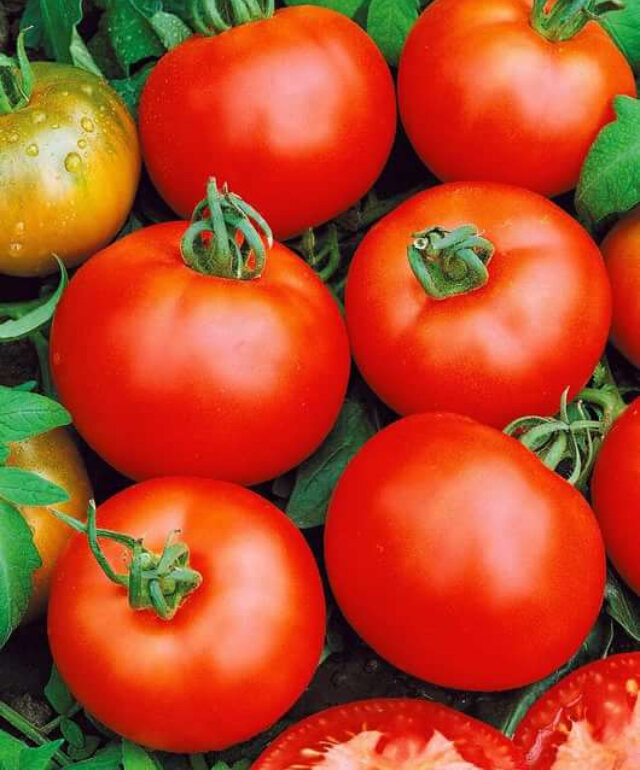 фото взято из интернета