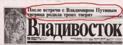 
Например, ошейник на тигрицу Владимир Владимирович одевал на Дальнем Востоке, в местах, где тигр считается хозяином тайги и является тотемным животным многих племён здесь издревле. Например, в Северном Китае. Тигр был тотемом древнего Жёлтого императора. Ошейники на белугу Владимир Владимирович одевал на Каспии, где белуга олицетворяет собой властелина этого моря (как самая крупная рыба водоёма). После показа роликов про тигрицу и про белугу на тематических форумах о магии была даже большая дискуссия на предмет события. Народ гадал: случайно оно или нет?