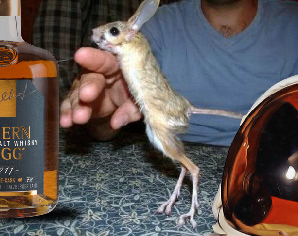 Хьюстон, у нас нет проблем!