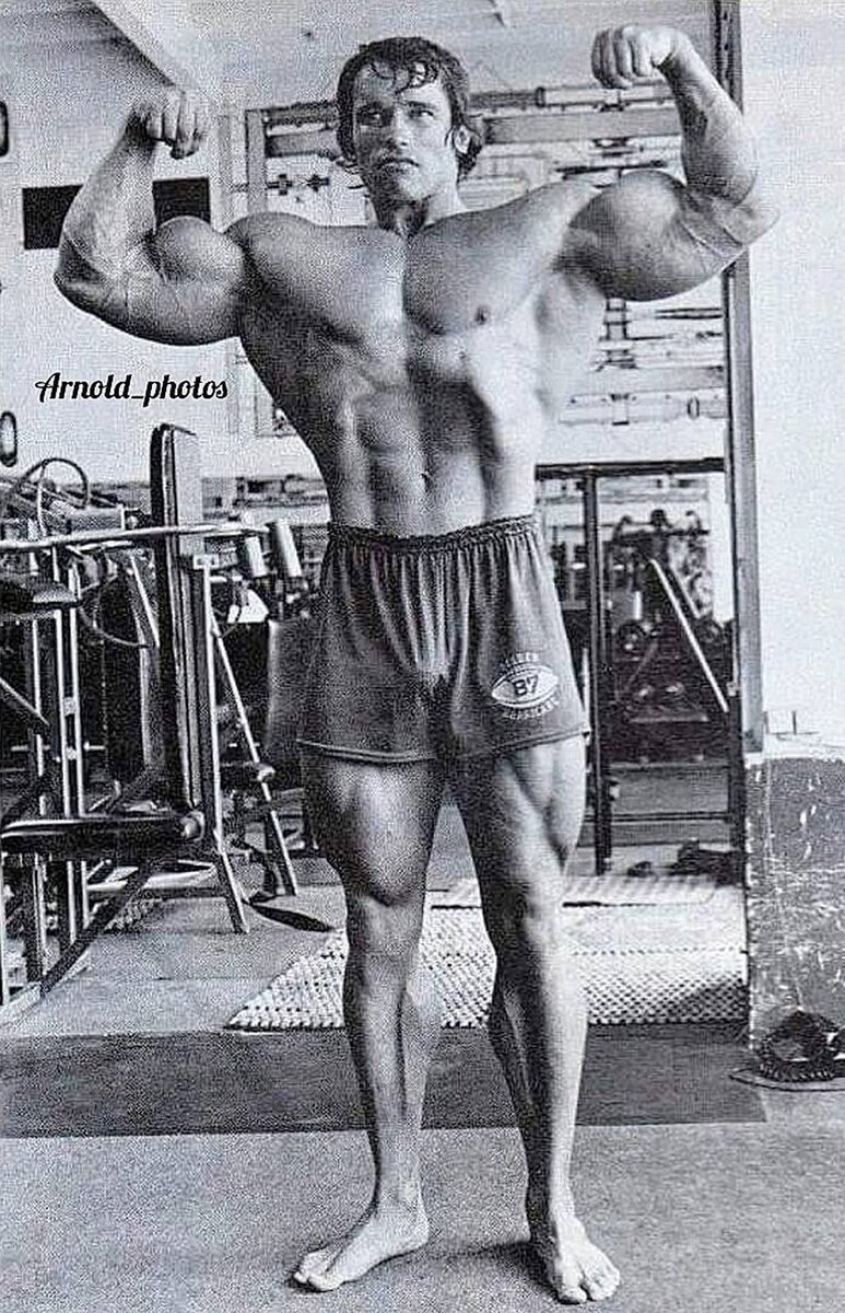 Iron Arni
