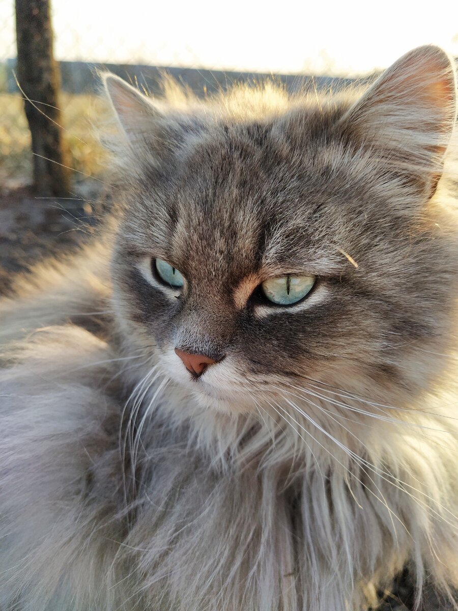 Это наш Мотя