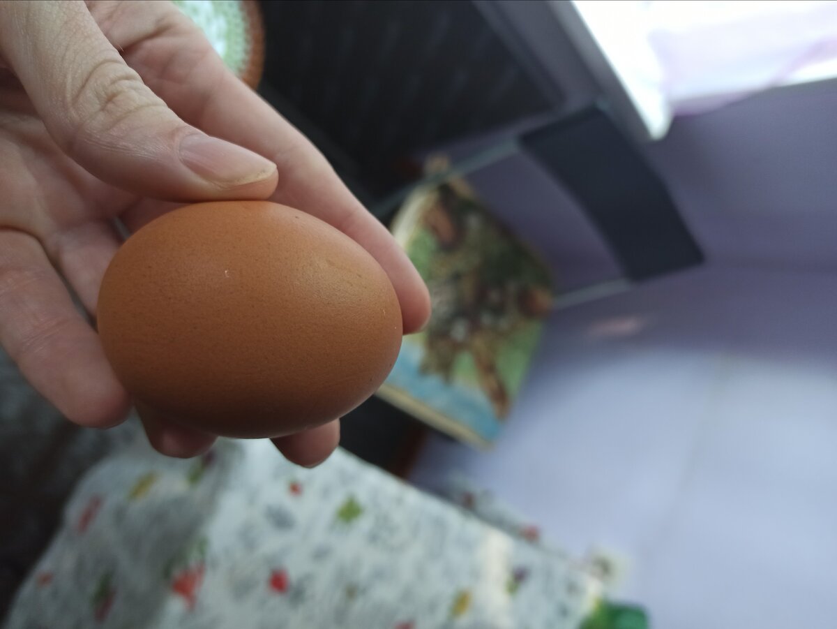 Привет дорогой друг я решил провести эксперимент и пить сырое яйцо каждый день и вот что произошло! яйцо само по себе очень нужно в нем содержится много полезных для организма веществ  и витаминов ,многие люди употребляют его в сыром виде.
Одна из причин почему нужно пить сырое яйцо все дело в бактерии хеликобактерия эта бактерия провоцирует гастрит,язву желудка ,12ти перстной кишки врачи назначают лекарства которые имеют не мало побочных эфектов например дисбактериоз проблемы с почками и печенью!!!
А фермент лизоцим который находится в сырых белках способен разрушать бактерии без неприятных последствий для здоровья 
для более лучшего результата яйцо должно быть свежим а по возможности свежеснесенным и пить его важно именно на тощак также многие делают выбор в пользу яиц в виду их низкой калорийности но при этом высокой питательности если вы следите за весом такой завтрак вам подойдет 
еще один плюс это получение организмом анти оксидантов способствующих омоложению и повышению работоспособности 
это менно то что нужно работающему человеку с утра!
не смотря на свои преимущества сырые яйца разрешены далеко не всем отказаться от них прежде всего нужно людям с аллергией детям до 7 лет и взрослым склонным к аллергии стоит быть осторожнее!!!но не забудьте проконсультироваться с врачом!
подписывайтесь на мой канал ,будет много полезной информации !