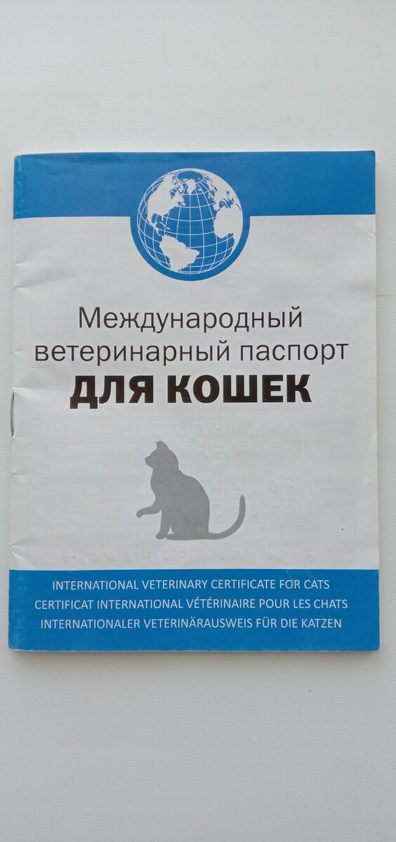 Посмотрела ветеринарный паспорт и узнала, что я не владелица своей ...