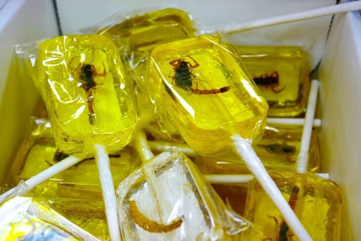 фото взято из открытых источников.