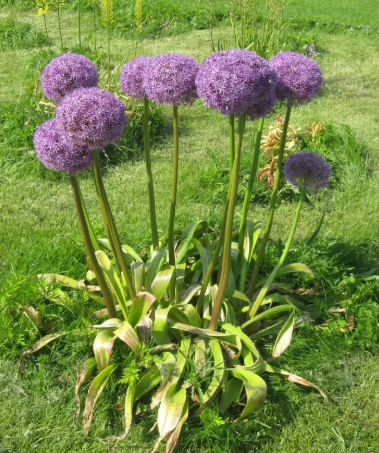 фото из инета