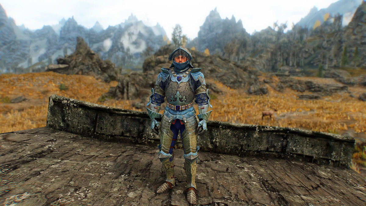 Wayrest Knight Armor