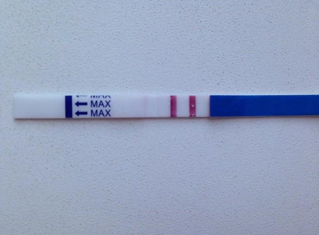 Яндекс картинки