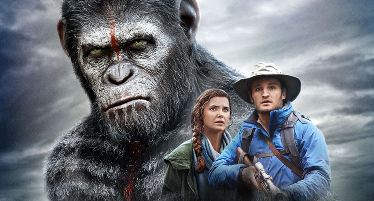 Кто всегда на стороне мира, так это животные...