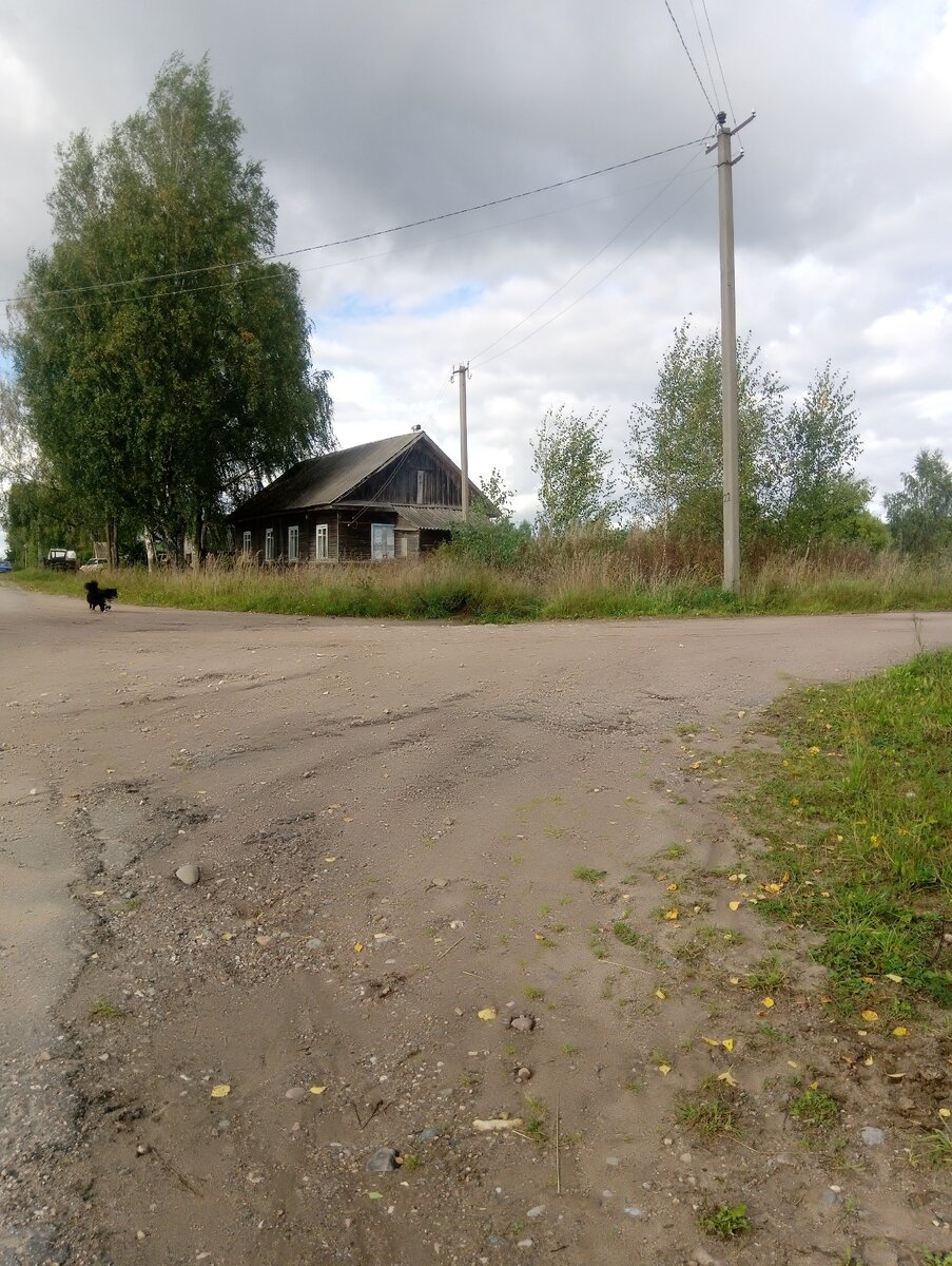 Деревенская дорога