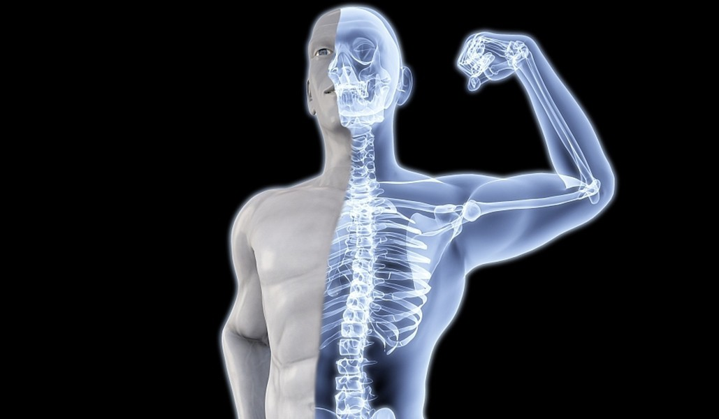 Что делает кости сильными. Здоровые кости. Опорно двигательный аппарат. Крепкие кости. Опорно-двигательный аппарат человека.
