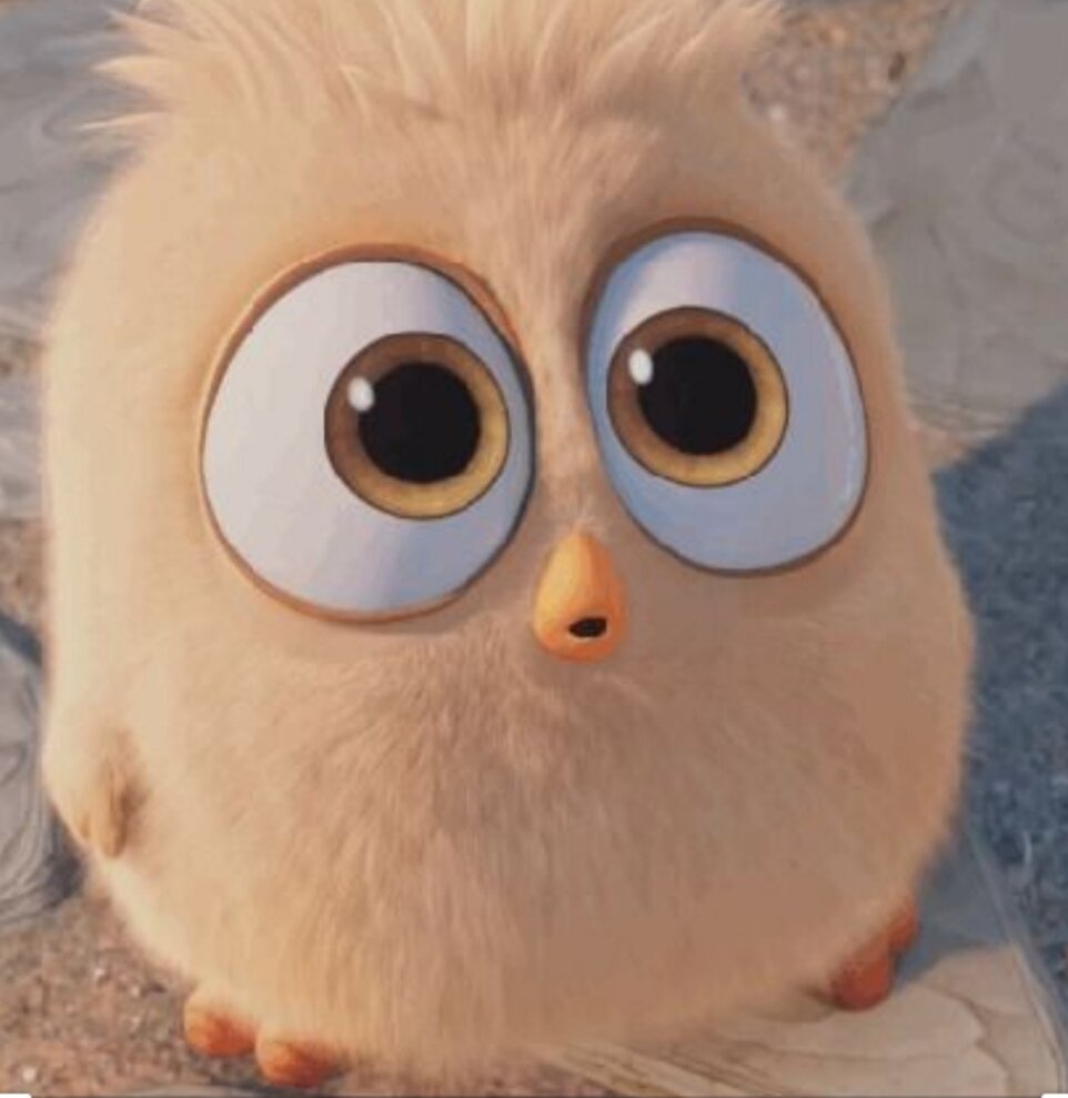 Птенчик в шоке! 