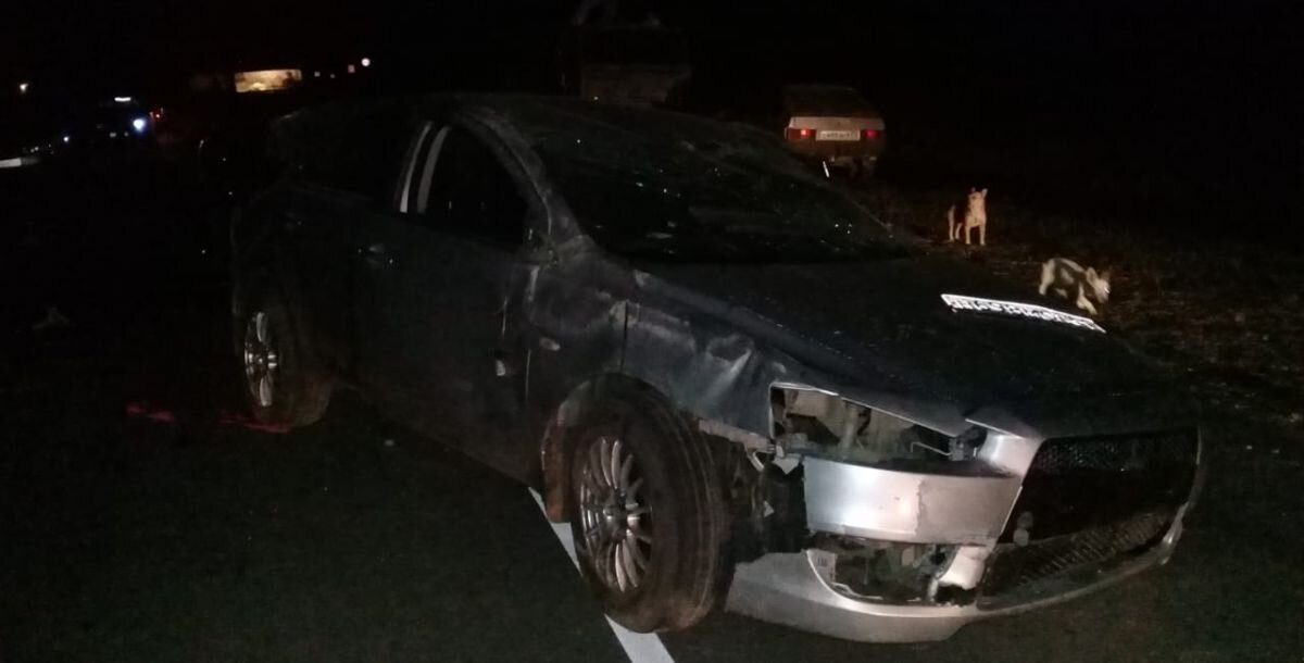 Фото: отдел пропаганды ГИБДД Ростовской области