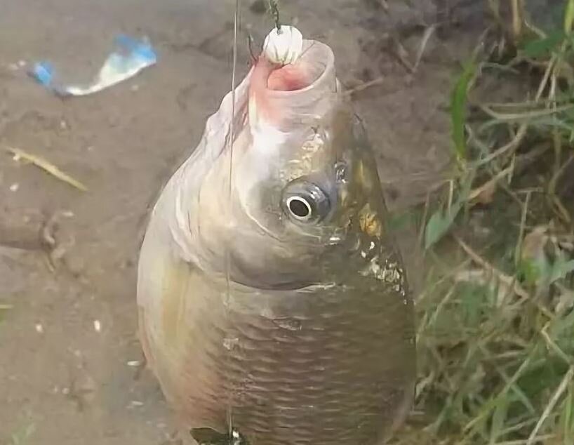 Картинка взята с Яндекс Картинок