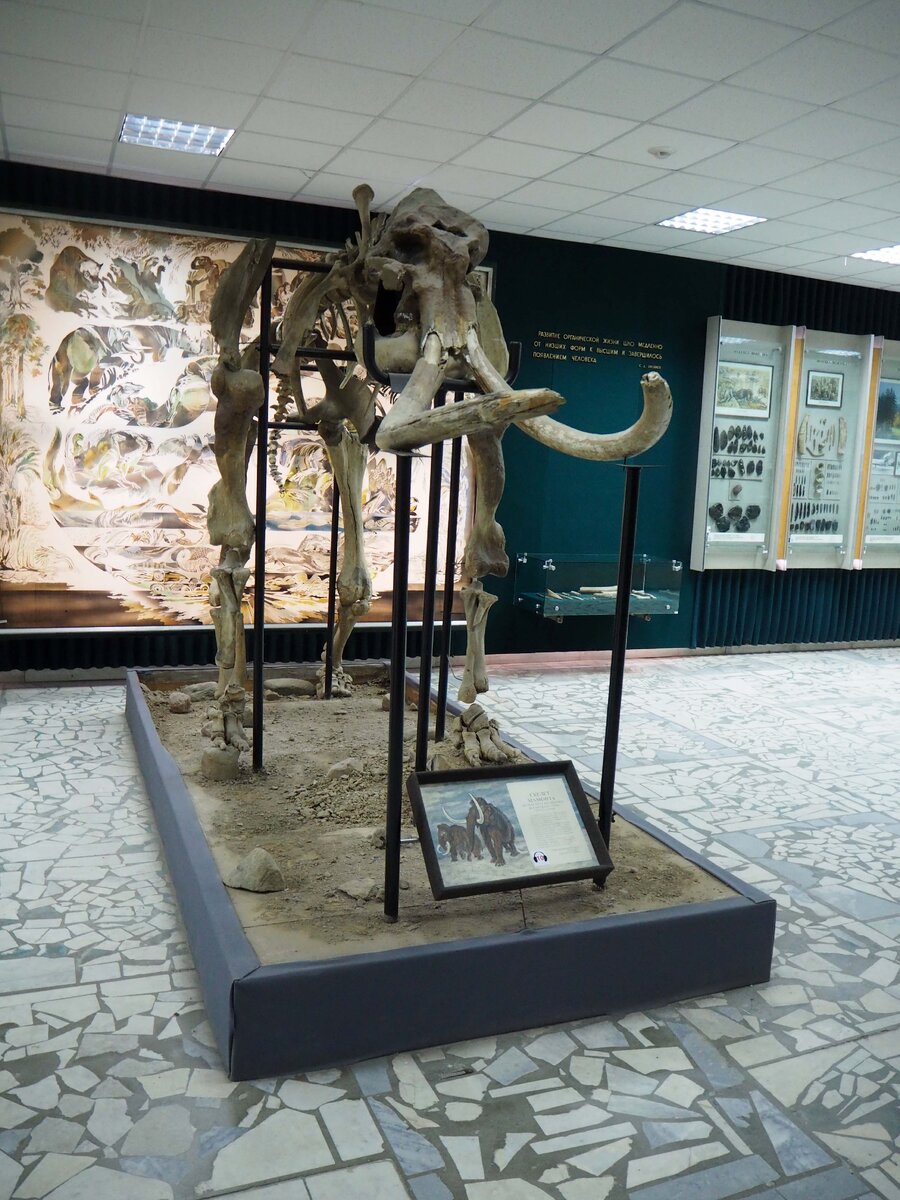 Брянский краеведческий музей. Фотография автора 2020