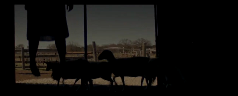 Кадр из фильма