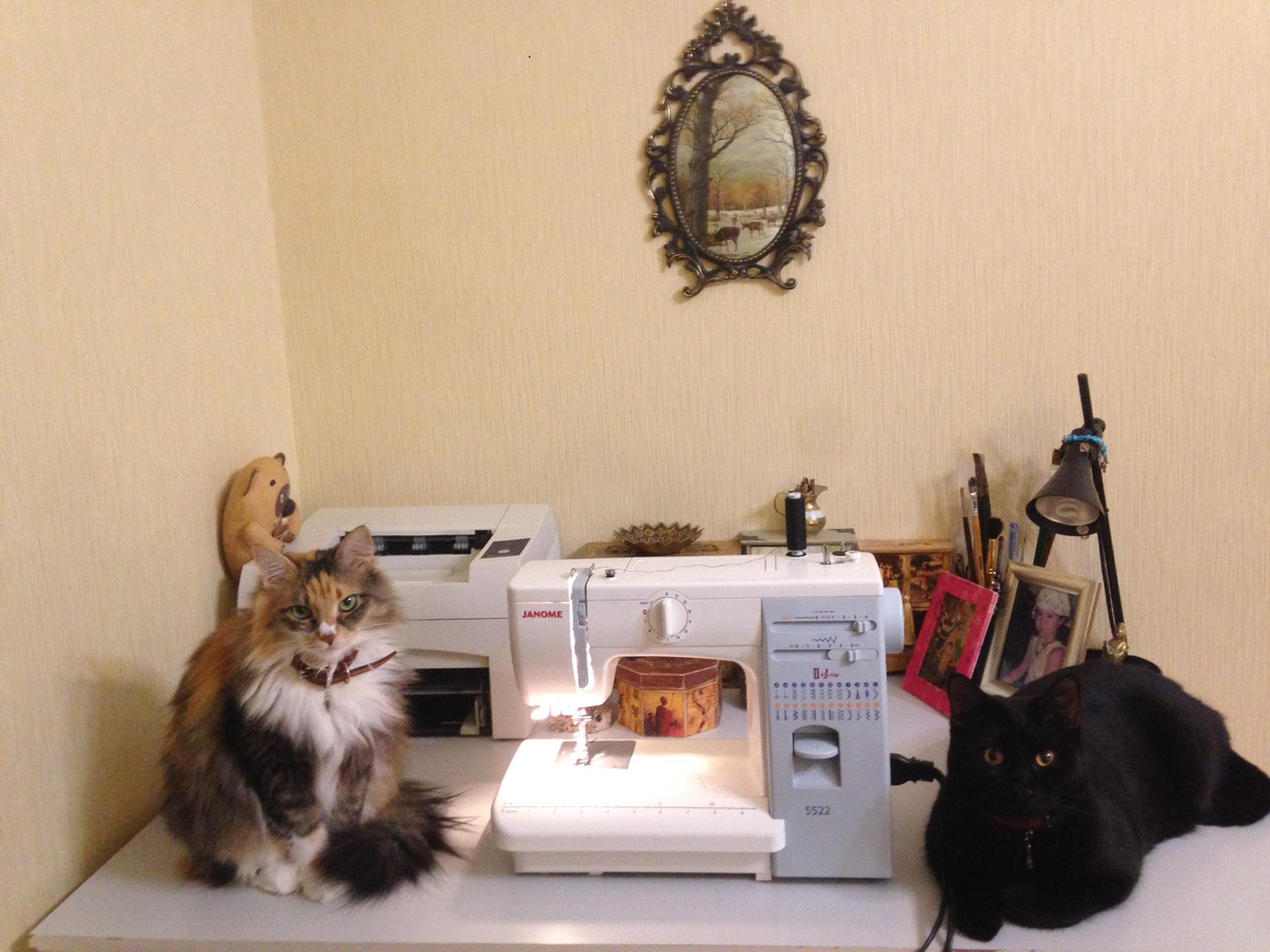 это  только часть наших домашних животных