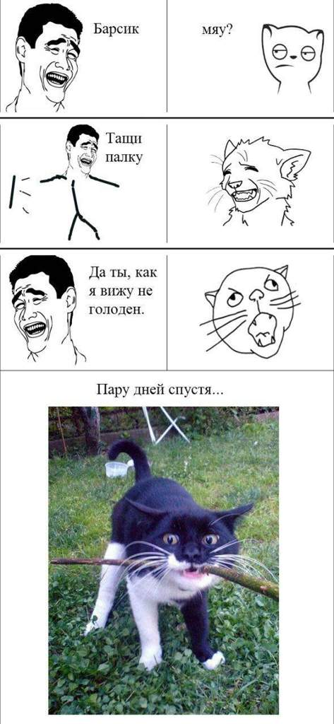 Мемы про животных картинки