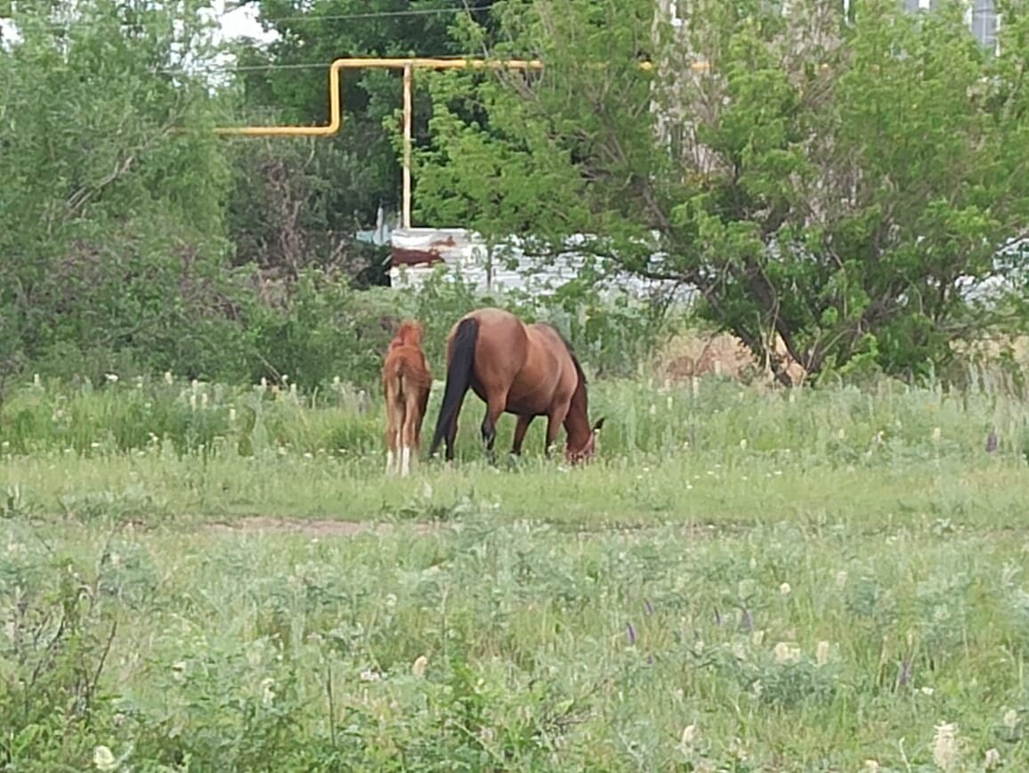 Фото: Гороскопы, Приметы, Советы