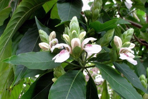 Спряталась...