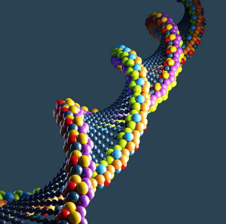 Кирпичик живого организма