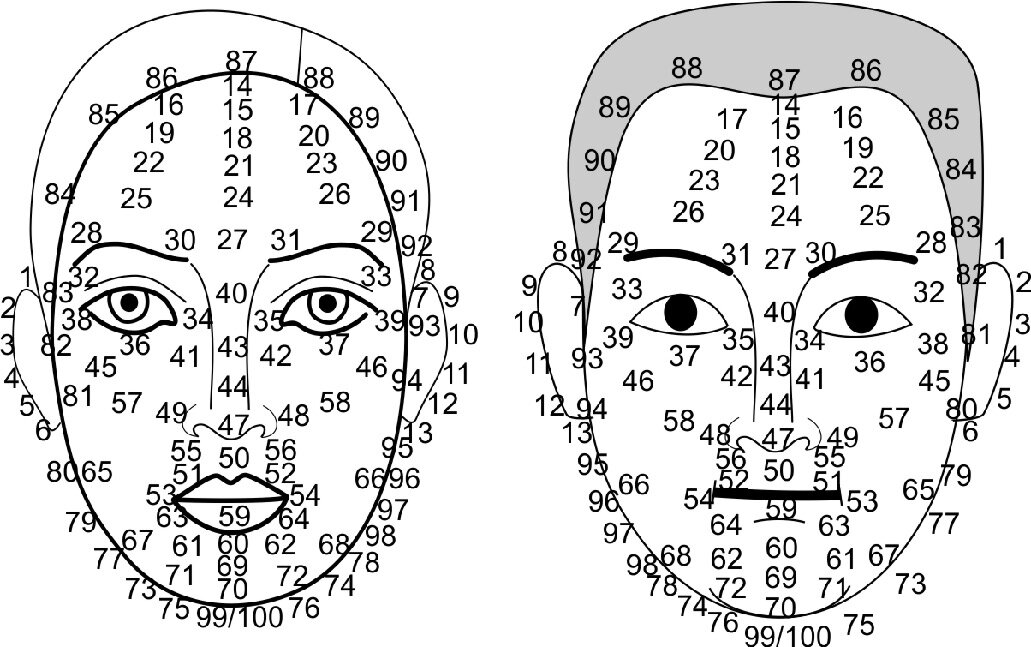 Физиогномика