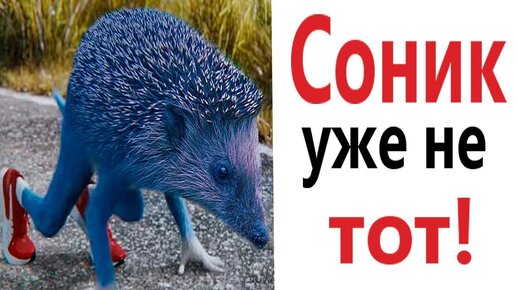 Лютые приколы. СОНИКА ТРОЛЛИТ КОТ!!! Самое смешное видео! Засмеялся проиграл! – Domi Show!