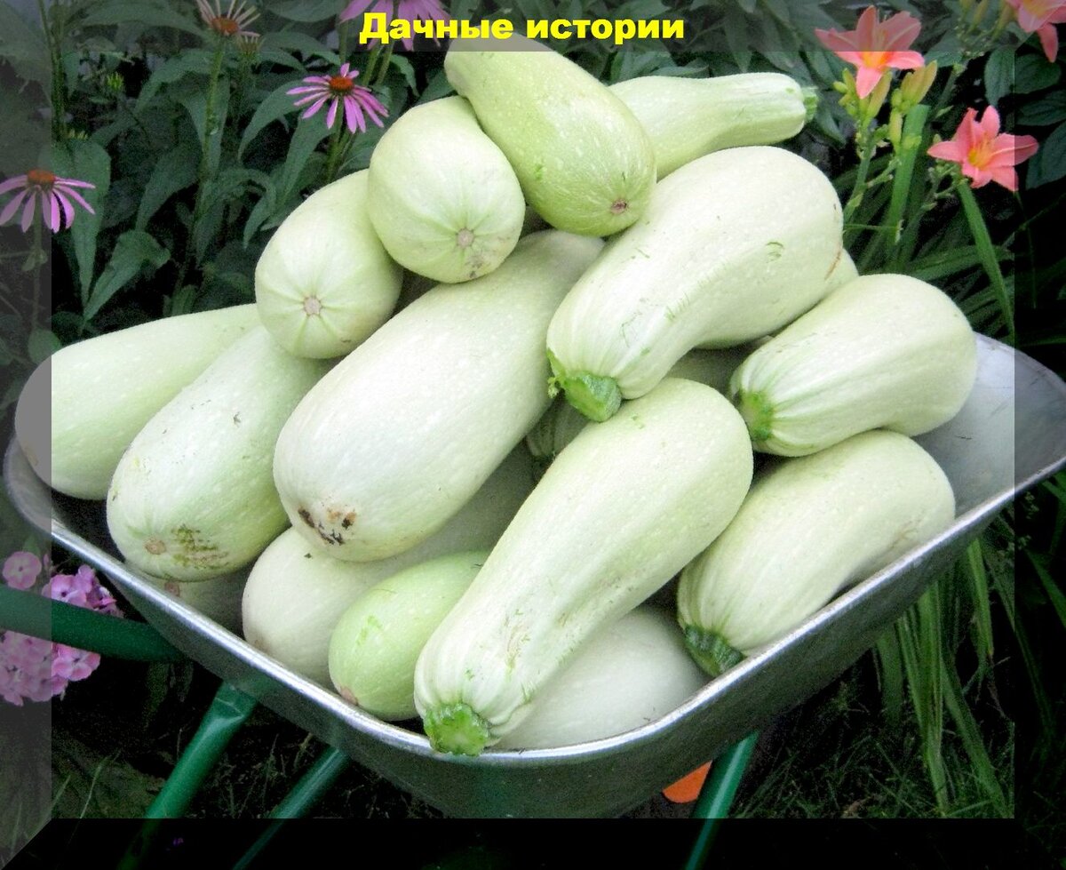 https://vk.com/photo-159774511_457248732