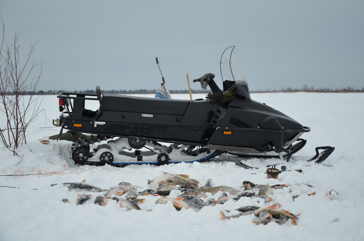Только снегоход гарантирует удачный улов! Источник фото - https://a.d-cd.net/79cb26ds-1920.jpg