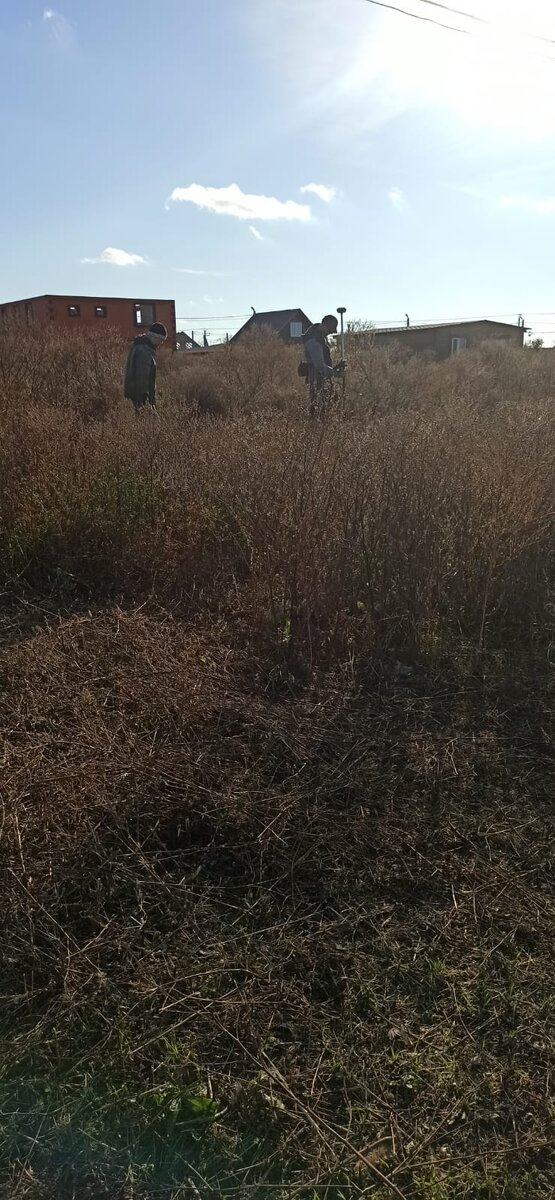 Поиск точки в наших зарослях