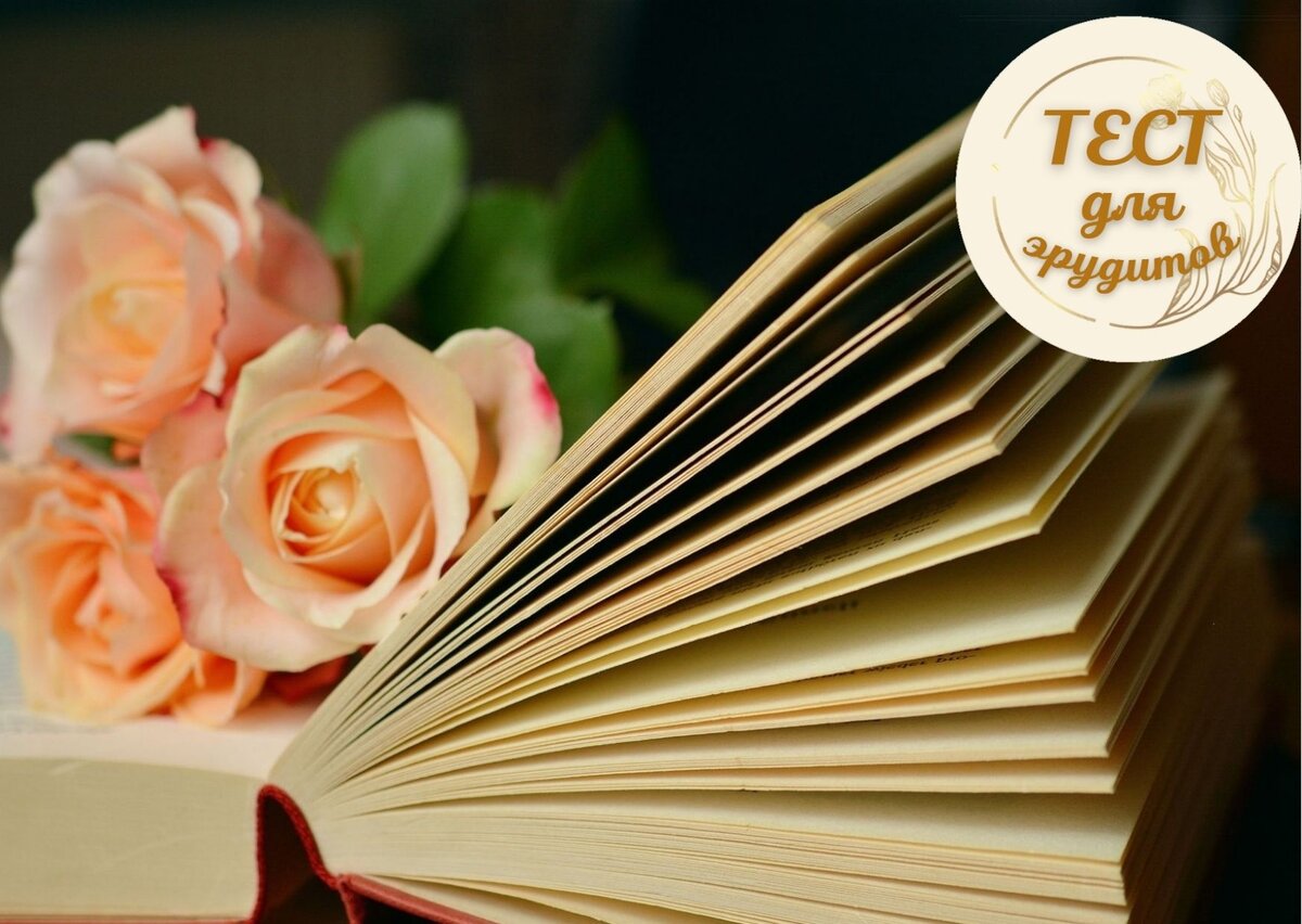 дизайн автора