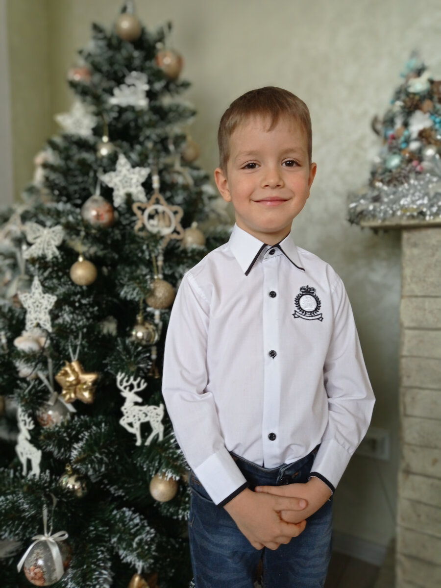 Дома возле елочки