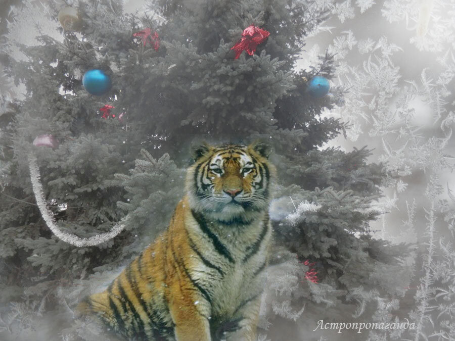 Иллюстрация 2. Коллаж Нины Стрелковой. 