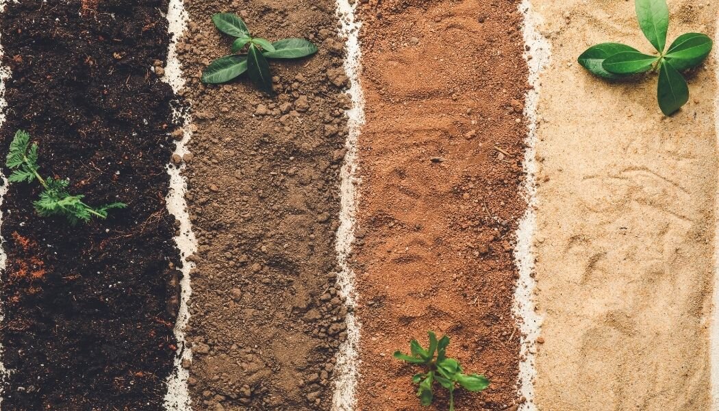 Clay Soil. Silty Clay Loam Soil.