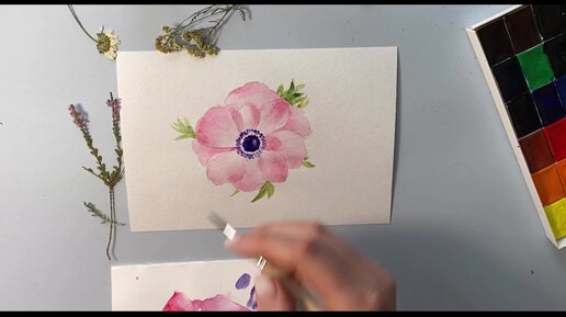 Рисуем цветок Анемон. Урок рисования акварелью для начинающих