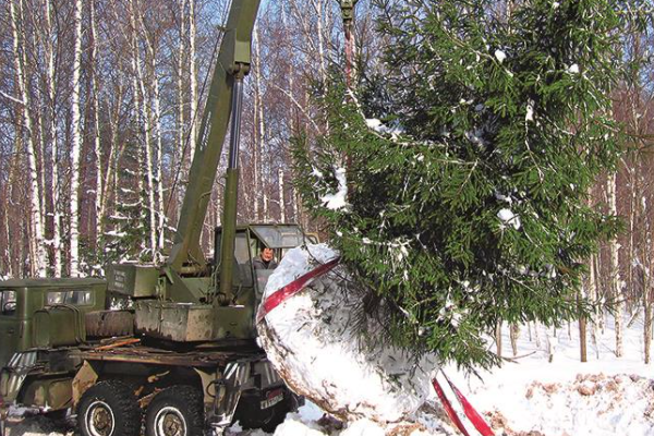 При перевозке нак дальние расстояния без техники не обойтись. Фото из окрытого источника.