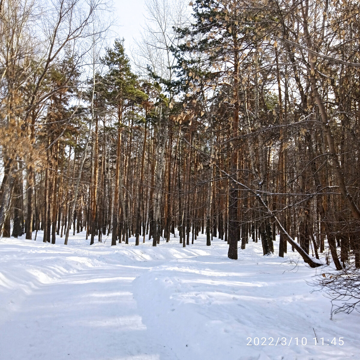 Фото автора. 