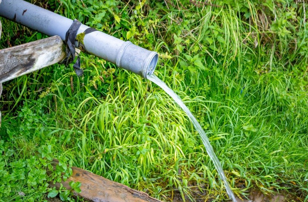 Летний родник