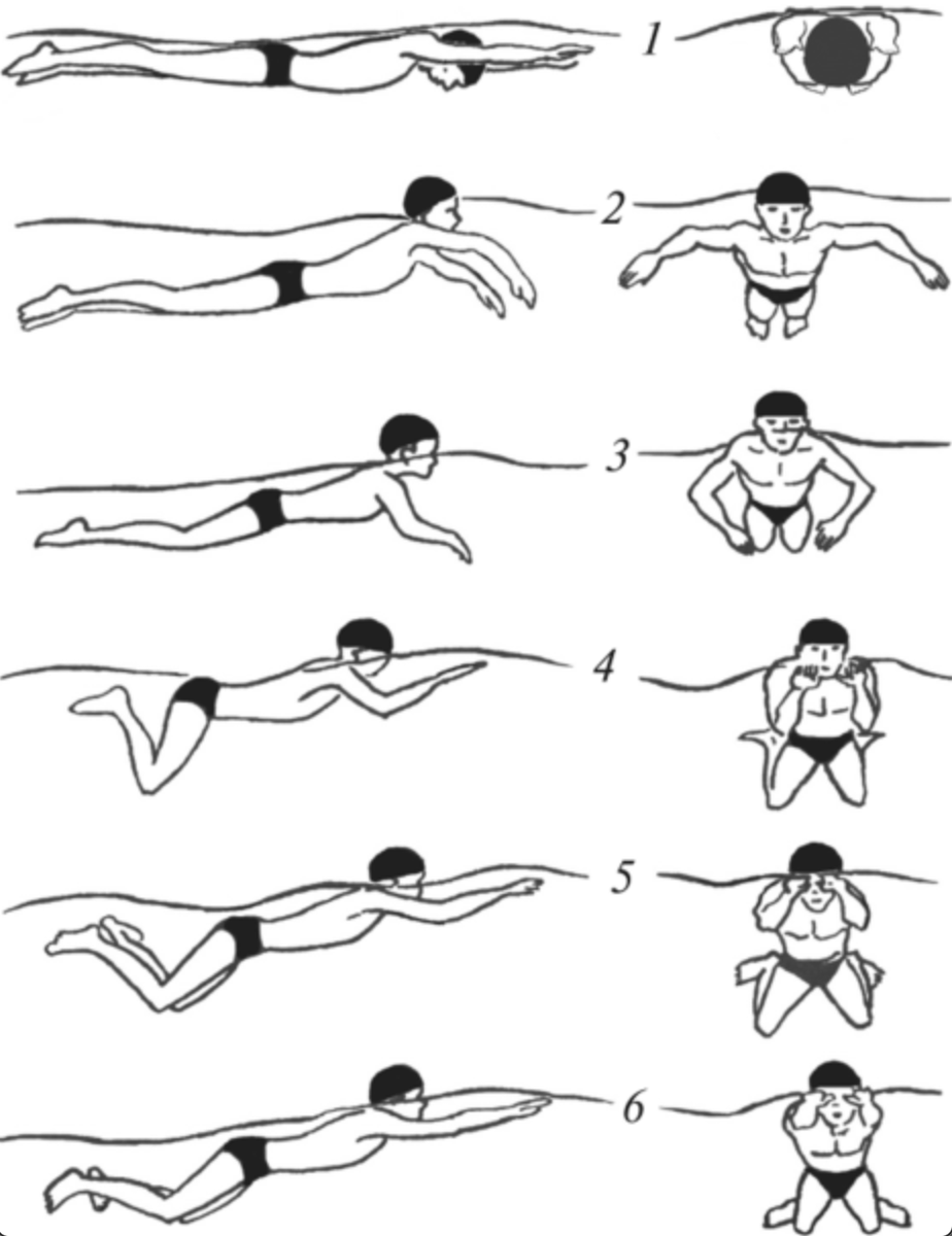 Как научиться плавать под водой. Стиль плавания брасс техника. Техника плавания брассом пошагово. Техники плавания брасс Кроль Баттерфляй. Брасс техника плавания фото.