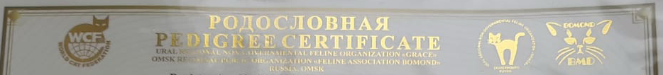 Родословная WCF