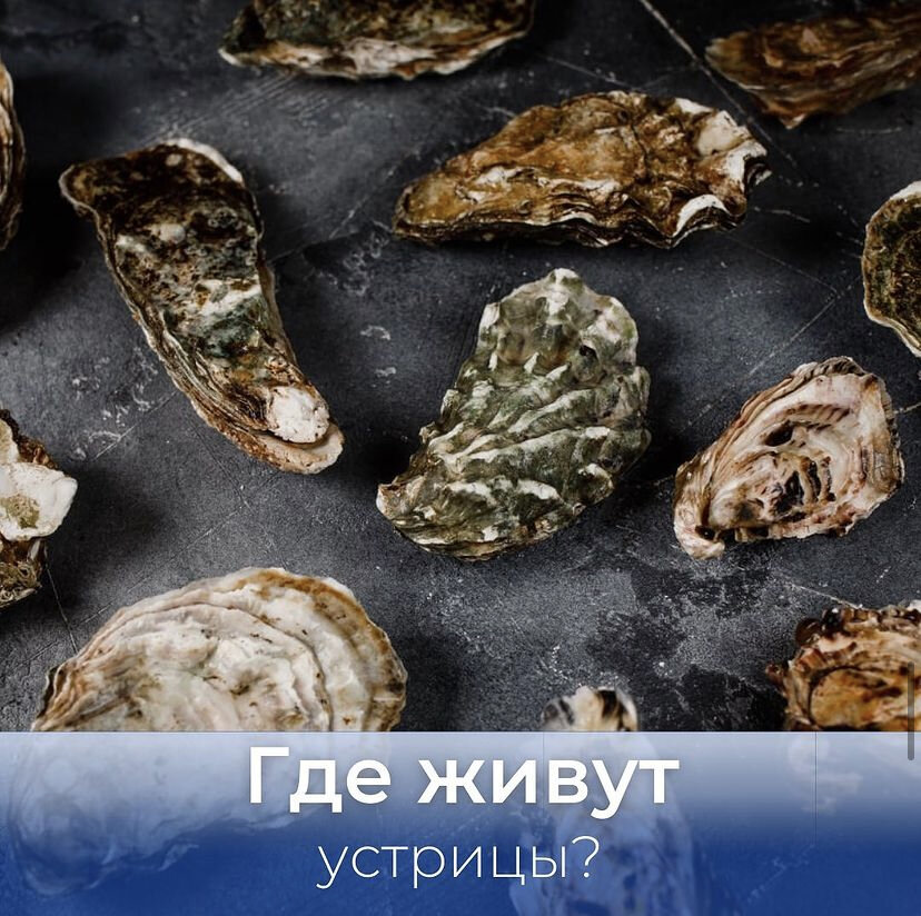 Устричные крекеры