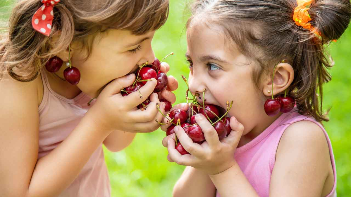 Ягодка ест ягодку. Вишня для детей. Красивые дети с фруктами и ягодами. Дети любят есть черешню. Дети Вишенки.