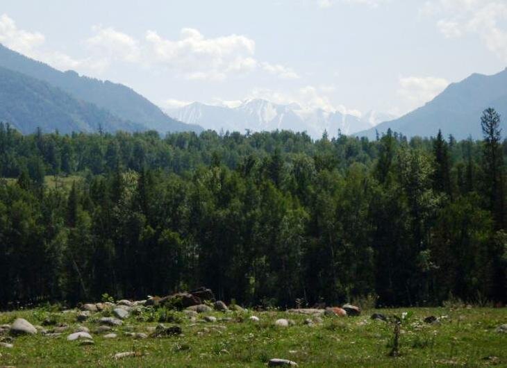 Дальше всех может продвинуться в пути тот, кто решился быть пешим