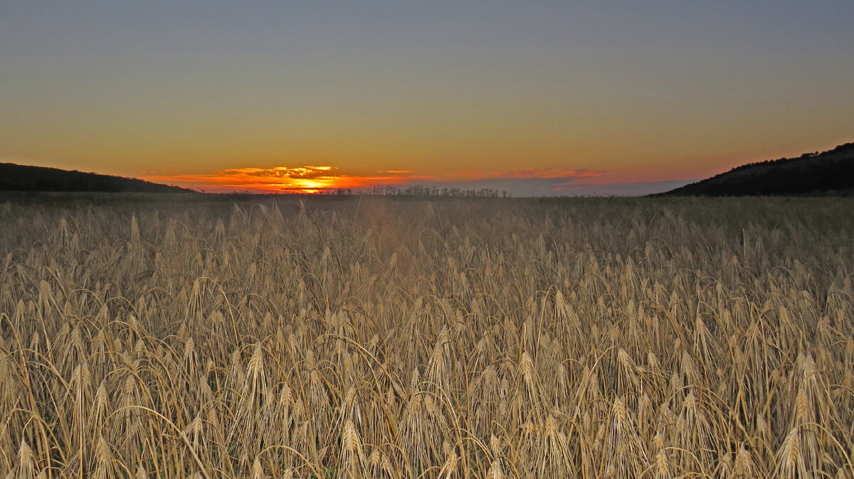 Листайте →→→